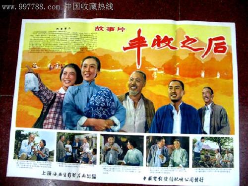 国内的驾照能在香港使用吗